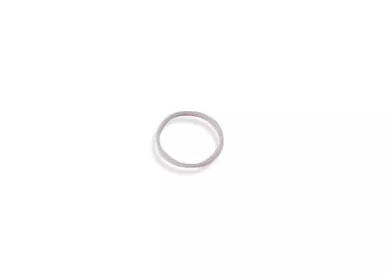 1617-0165-00 Ring