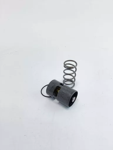 1619-6890-03 Thermostat: