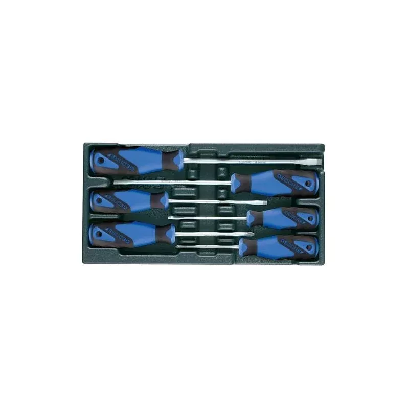 Gedore 1523694 Screwdiver set in 1/3 ES Tool Module